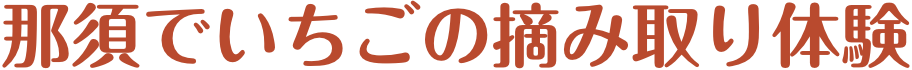 那須のいちご摘み取り体験