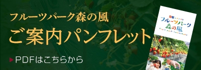 フルーツパーク森の風 ご案内パンフレットはこちら